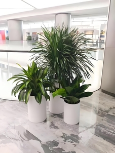 找绿化修剪服务？宁波余姚这家超靠谱！